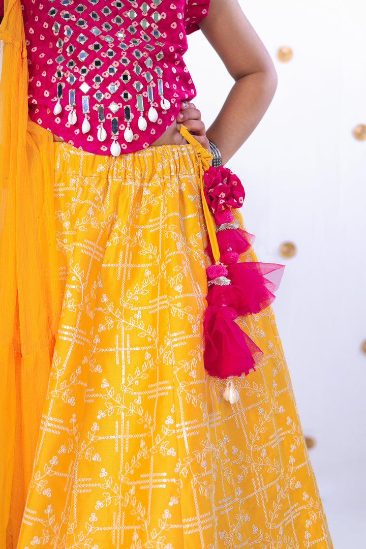 Girls' Pink Mirror Work Choli and Yellow Printed Lehenga Set - CuddlesClothing