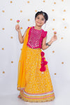 Embroidered Lehenga Choli for Girls with Mirror Work