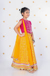 Embroidered Lehenga Choli for Girls with Mirror Work