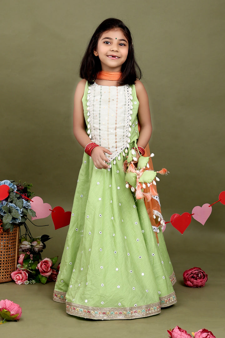 Gulnaar Pista Lehenga Set
