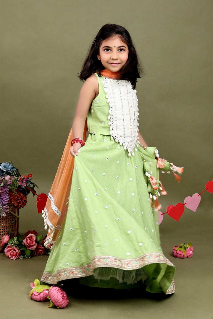 Gulnaar Pista Lehenga Set