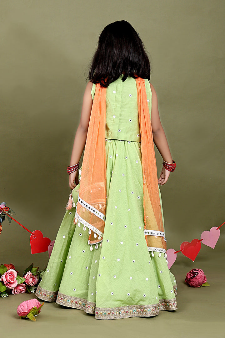 Gulnaar Pista Lehenga Set